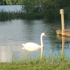 Meet your Posher, Jodie